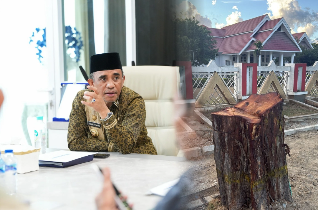 Pohon Peneduh di Depan Rujab Gubernur Sulteng Ditebang, Gubernur Perintahkan Usut